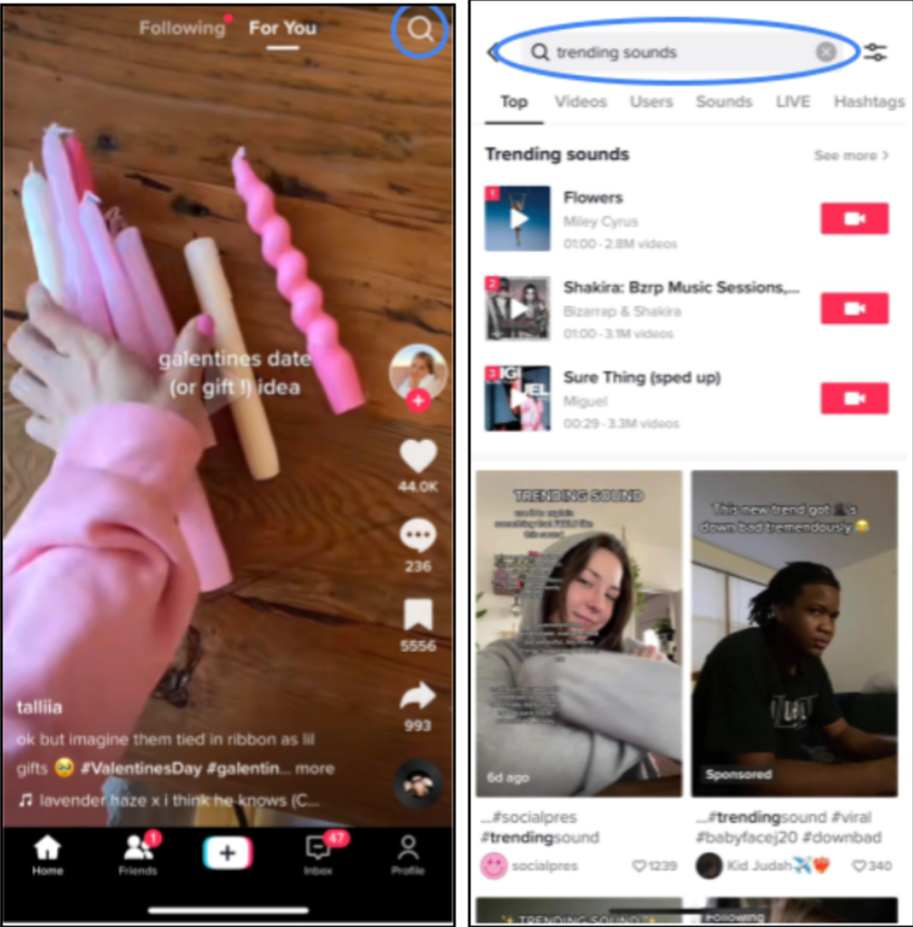 TikTok Glitch